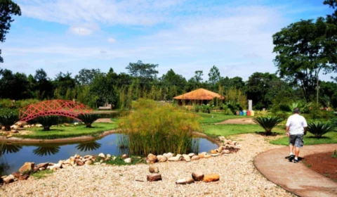 DF apresenta lazer grátis aos domingos e feriados; descubra locais e funcionamentos