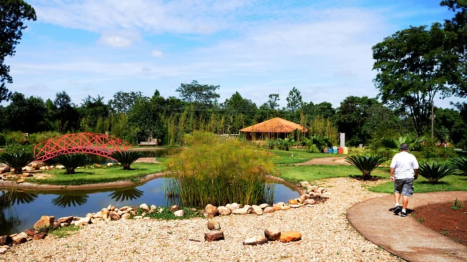 DF apresenta lazer grátis aos domingos e feriados; descubra locais e funcionamentos