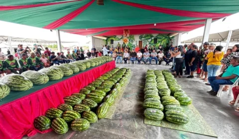 Normandia pode ganhar título oficial de ‘Capital da Festa da Melancia’ em Roraima; veja detalhes