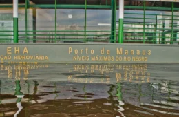 Cheia em Manaus: rio Negro atinge cota de inundação severa e ultrapassa 29 metros