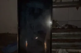 VÍDEO: homem é flagrado carregando TV furtada no centro de Porto Velho