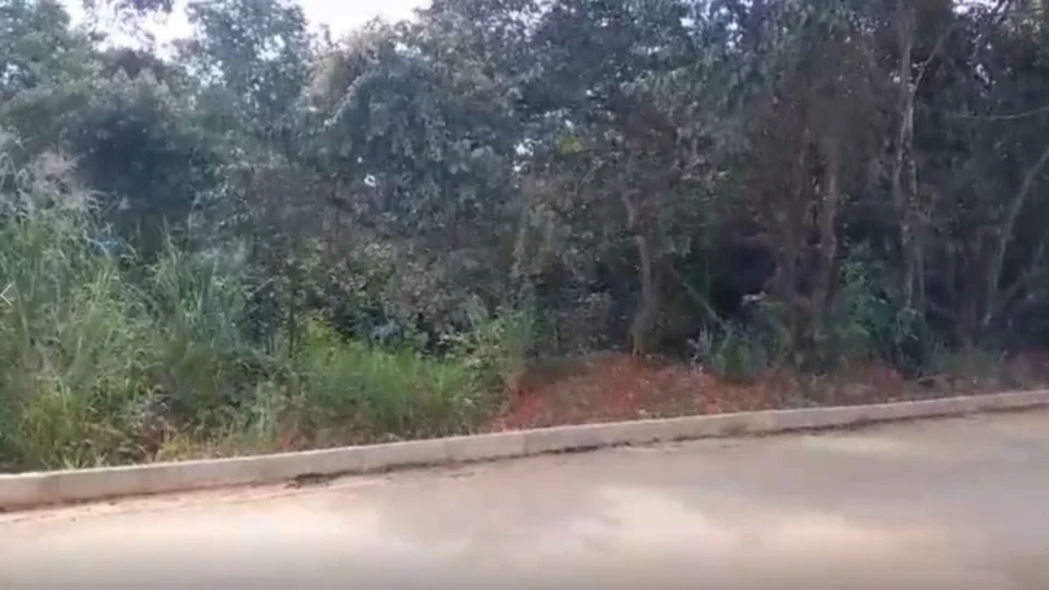 VÍDEO: homem é sequestrado e torturado em matagal na zona sul de Porto Velho