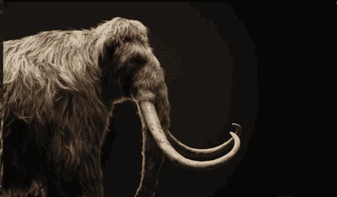 Parque dos Dinossauros ou Era do Gelo? Empresa fala na SXSW de trabalho para ressuscitar espécies extintas