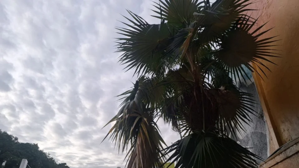 Previsão do tempo em Manaus hoje (4/03): veja como fica o clima na capital