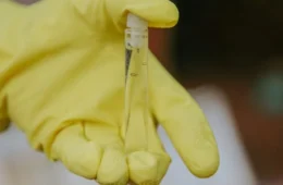 Saúde alerta população sobre o aumento dos casos de chikungunya em Vilhena, RO