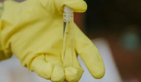 Saúde alerta população sobre o aumento dos casos de chikungunya em Vilhena, RO