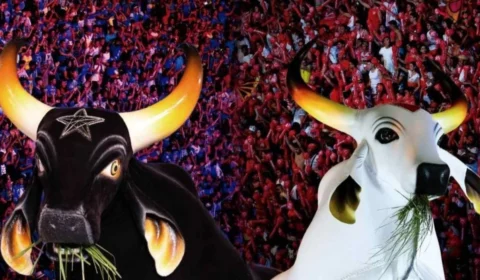 Arena Planeta Boi: veja como garantir os ingressos para o evento em Manaus