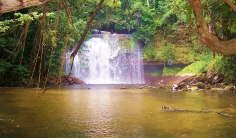 Conheça sete cachoeiras para renovar as energias em Presidente Figueiredo, no Amazonas; veja as dicas