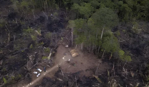 Chacina em Porto Velho: corpos de quatro homens e duas mulheres são achados em terreno