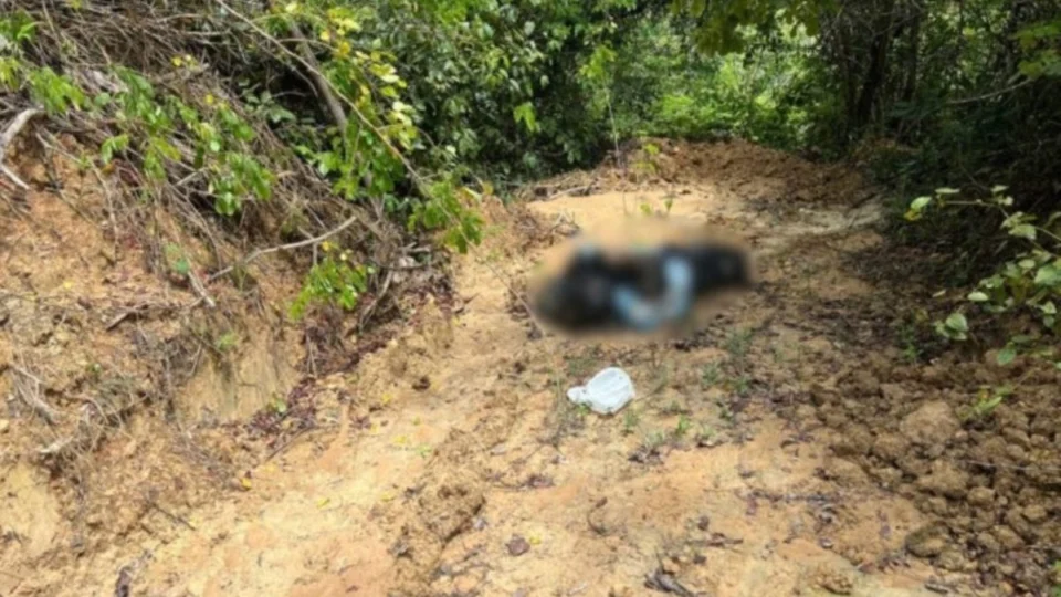 Corpo sem cabeça é encontrado na BR-174, no Amazonas