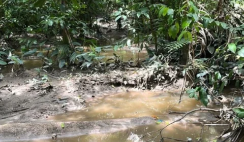 Com mãos e pés amarrados, corpo de homem é encontrado em Manaus