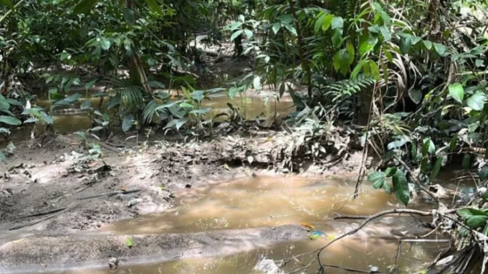 Com mãos e pés amarrados, corpo de homem é encontrado em Manaus