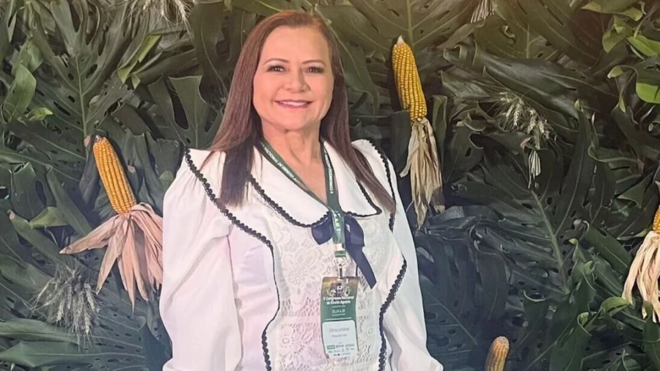 De testemunha a investigada: Dilma Costa tem irregularidades relacionadas a Denarium, diz presidente da ALE-RR em CPI