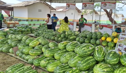 Festa da Melancia 2025 em Normandia: veja a programação e as atrações nacionais