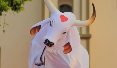 Garantido lança novas toadas para o Festival de Parintins 2025; ouça agora