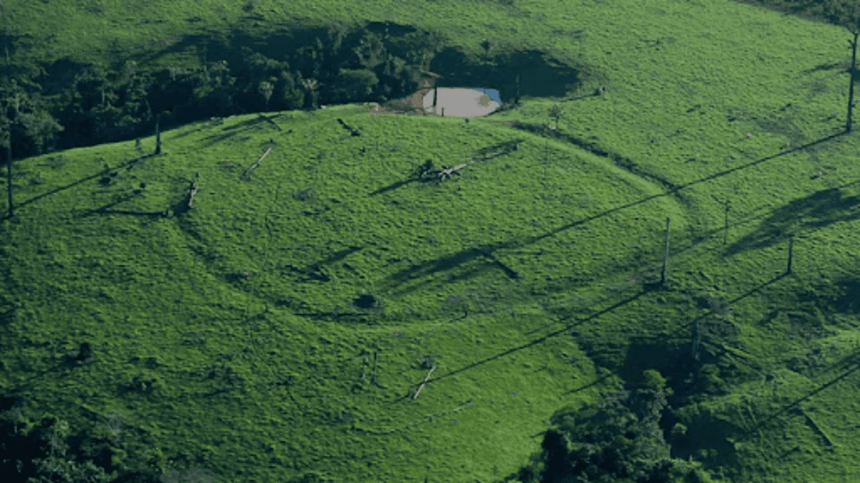 Geoglifos milenares no Acre podem se tornar Patrimônio Mundial da Unesco; entenda