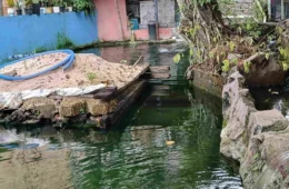Homem é multado por criar tartarugas, pirarucus e tambaquis ilegalmente em casa, em Manaus