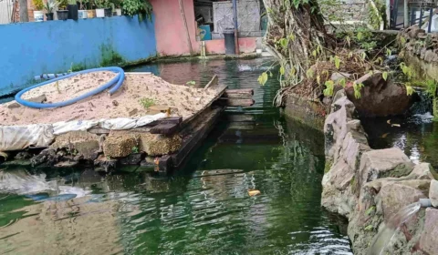 Homem é multado por criar tartarugas, pirarucus e tambaquis ilegalmente em casa, em Manaus