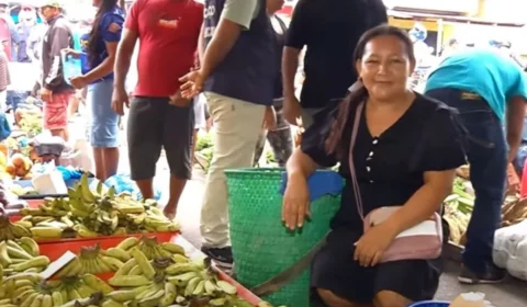 Sustento e cultura: a riqueza da ilha do Ariá e sua agricultura familiar que abastece Coari