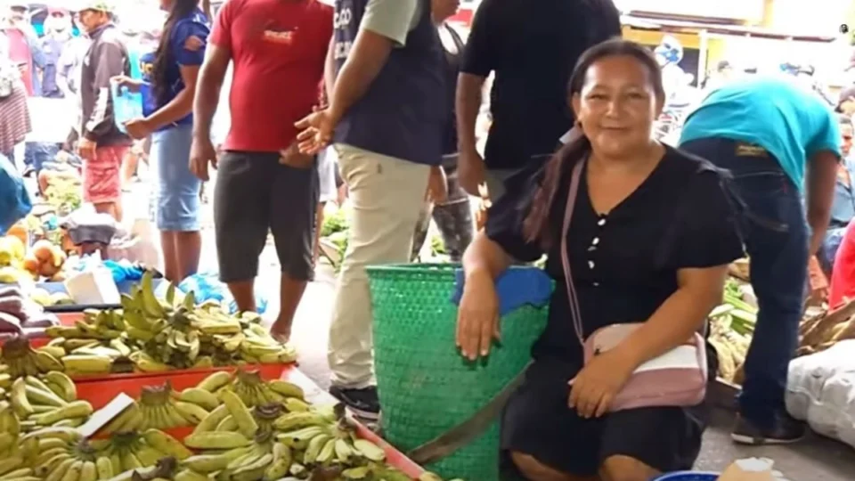 Sustento e cultura: a riqueza da ilha do Ariá e sua agricultura familiar que abastece Coari