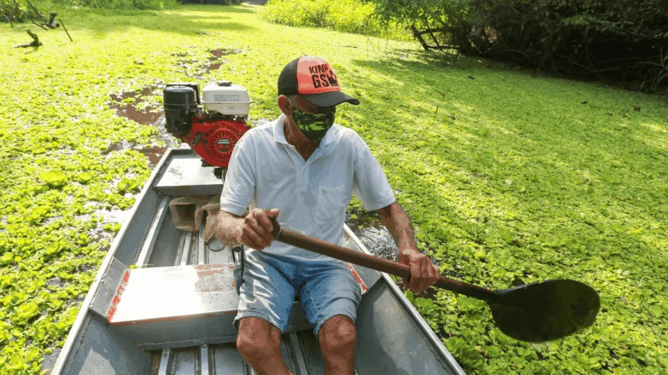 Com apliação de rede concluída, Comunidade do Rio Croa tem 100% de acesso à internet
