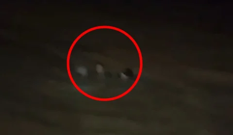 Corpo de jovem desaparecido no rio Amazonas é encontrado em Parintins; busca por segunda vítima continua