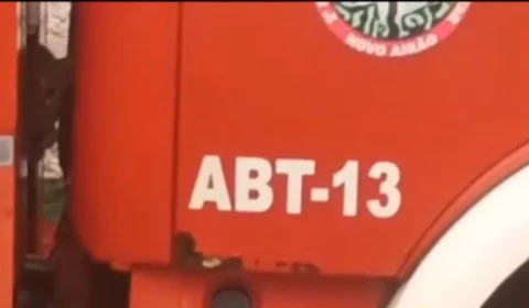 Onça-pintada entra em caminhão de bombeiros no Amazonas; veja vídeo