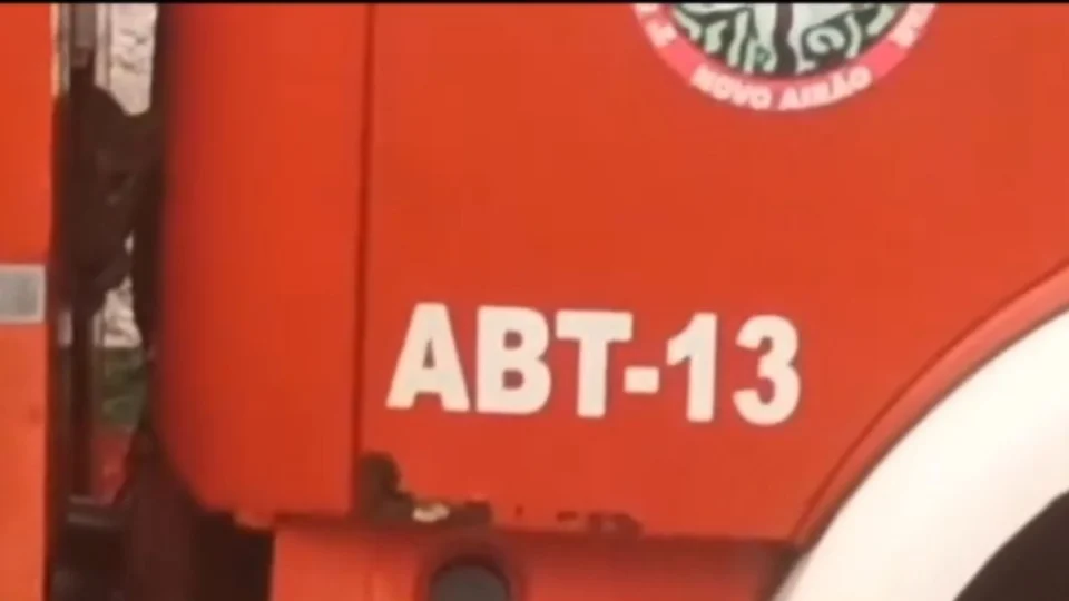 Onça-pintada encontrada em caminhão de bombeiros morre após ser resgatada no Amazonas