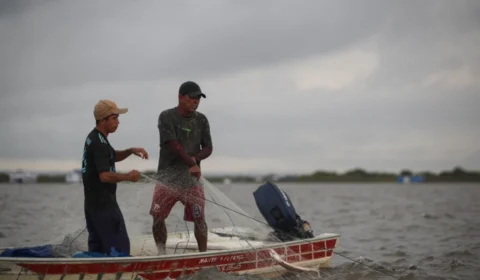 Período de defeso no Amazonas: captura de oito espécies será liberada neste domingo (16)