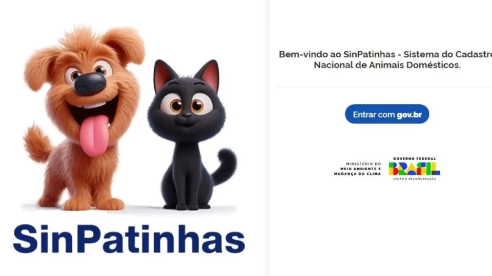 Como fazer o RG animal? Veja sistema gratuito para cães e gatos do governo federal