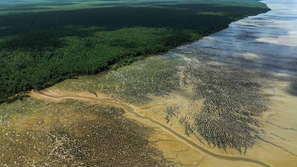Exploração de petróleo na Foz do Amazonas: ameaça ambiental ou chance de desenvolvimento?