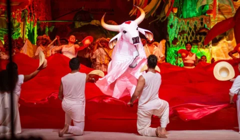 Mistura e tradições: conheça o Boi-Bumbá e outras manifestações culturais do Norte