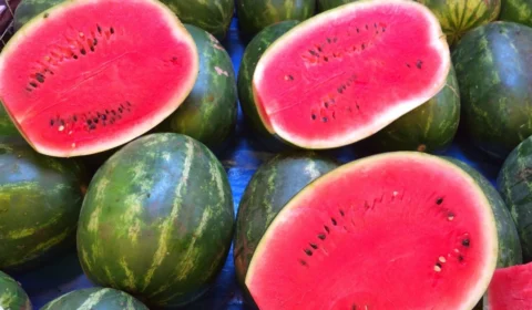 Festival da Melancia 2025: veja programação completa do 2º dia em Normandia (RR)