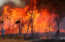 Queimadas caem mais de 90% no Amazonas em julho