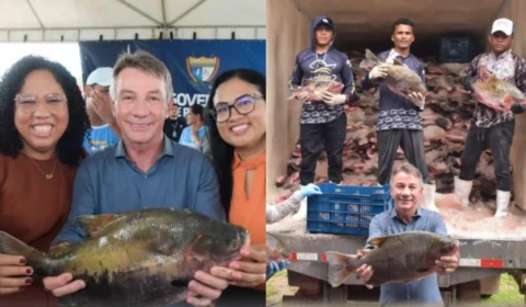 Onde retirar peixes em Boa Vista? Veja locais e horários do segundo dia de distribuição