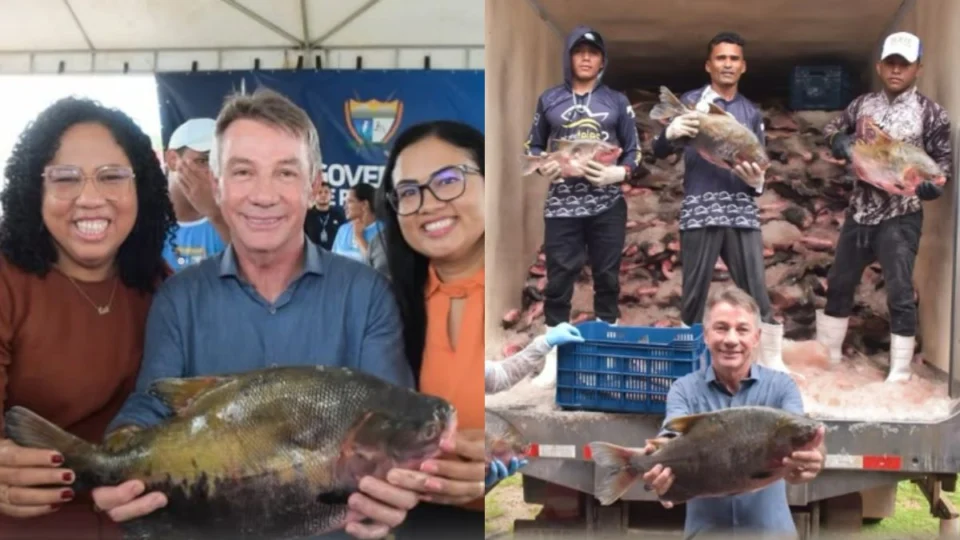 Onde retirar peixes em Boa Vista? Veja locais e horários do segundo dia de distribuição