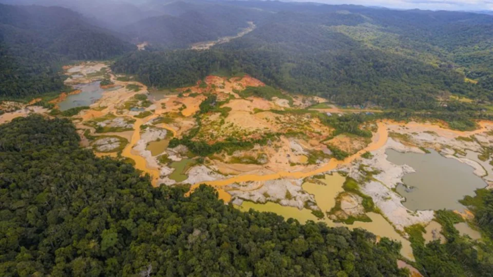 Avião cai em área de garimpo na Terra Yanomami e duas pessoas morrem carbonizadas