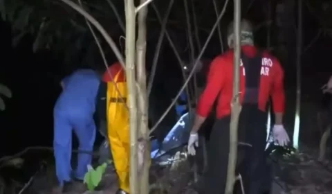 VÍDEO: Corpo degolado e em estado de decomposição é encontrado em igarapé de Manaus