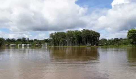 Nível do rio Branco ultrapassa cota de inundação em Caracaraí e acende alerta de novas cheias