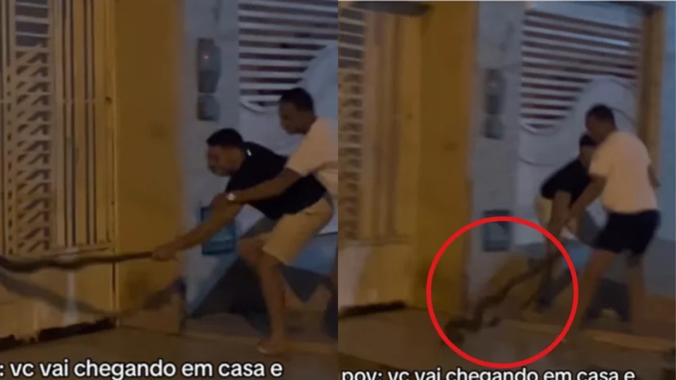 VÍDEO: Jovens viralizam e divertem internautas ao remover cobra de casa: ‘Por isso que homem vive menos’