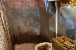 O que revelam as fiscalizações de trabalho análogo à escravidão no DF? 503 trabalhadores foram libertados