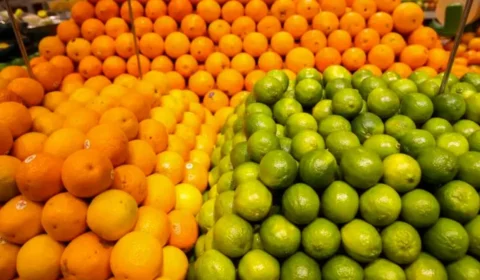 Alvo de preocupação no Brasil, cítricos ganham novo fôlego com exportação à Índia