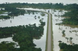 Cheia do Rio Madeira: com nível próximo a 17 metros, cota de inundação se aproxima em Porto Velho