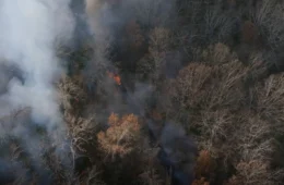 Governo Federal anuncia medidas para reduzir poluentes na preparação para a COP30 em Belém