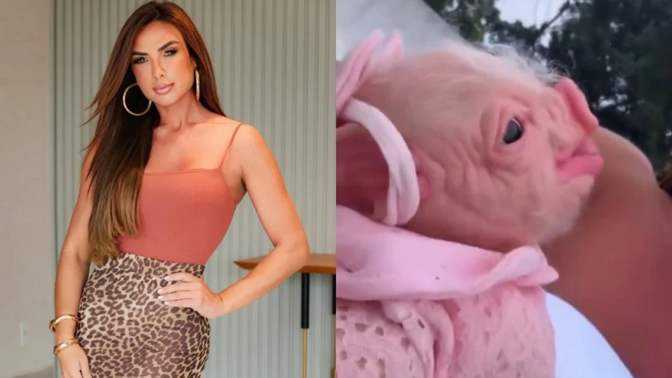 Nicole Bahls exibe porco ‘Bebê Reborn’ e choca web: ‘fiquei com medo’