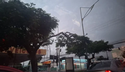 Previsão do tempo em Manaus: confira o clima para hoje (11/4)