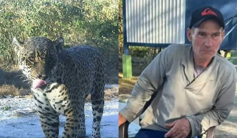 Local de ataque de onça já foi denunciado por ‘ceva’; entenda prática que é crime ambiental