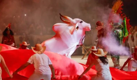 Boi Garantido libera toadas de 2025 nas plataformas digitais; confira as 19 faixas