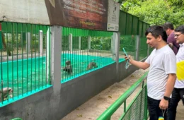 Bosque da Ciência em Manaus celebra 30 anos com programação gratuita