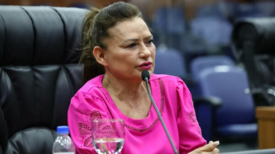 Presidente do Iteraima, Dilma Costa, pede exoneração após ser investigada por grilagem